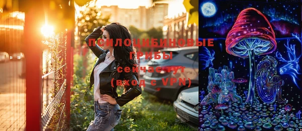 бошки Богородицк